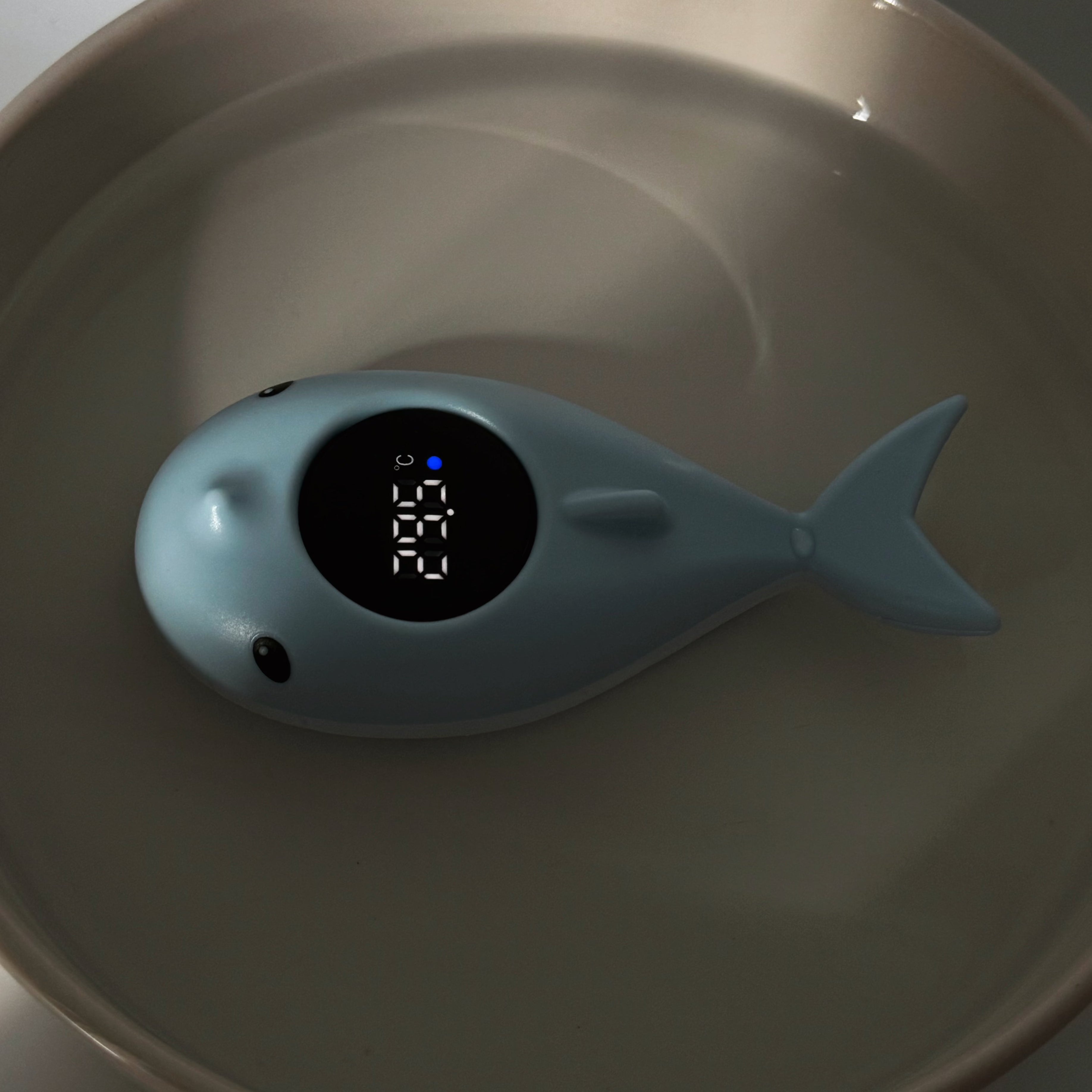 Thermometer Badewanne